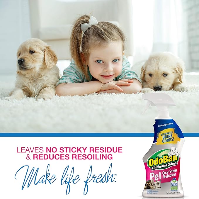 OdoBan Pet Solutions Oxy Stain Remover, Made in the USA, 2-Pack, 32 Ounce Sprays Each, and Neutral pH Floor Cleaner Concentrate, 1 Gallon