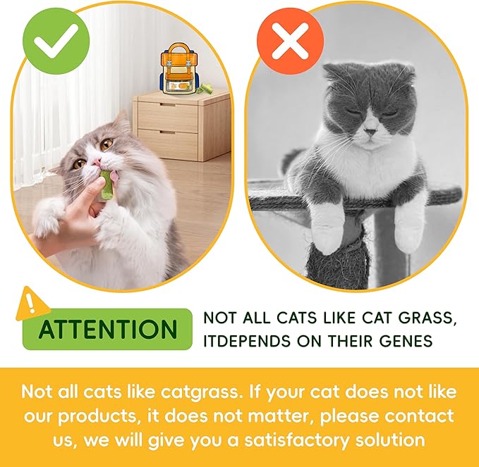 Cat Grass Sticks(125g/4.41oz) | Cat Dental Sticks for for Hairball Remedy and 60% Plaque Reduction | Natural Cat Grass Teeth Cleaning Chews for Indoor Cats | with Free Salmon Oil & Catnip Spray