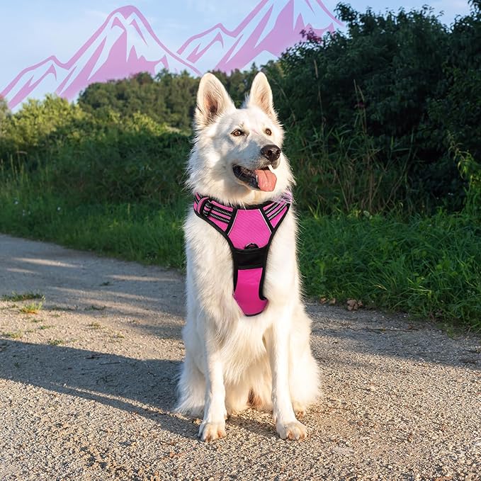 Eagloo Dog Harness Large Breed, No Pull Service Vest with Reflective Strips and Control Handle, Adjustable and Comfortable for Easy Walking, No Choke Pet Harness with 2 Metal Rings, Rose Red, XL