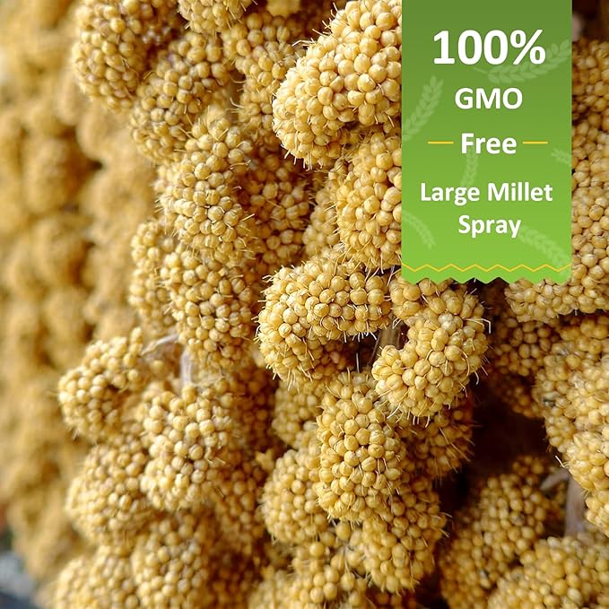 Spray Millet for Birds 5LB - All Natural Sun-Dried Healthy Treat, Millet Spray for Parakeets, Parrots, Lovebirds, Cockatiels Food, 100% Non-GMO High Protein Fresh Bird Seed
