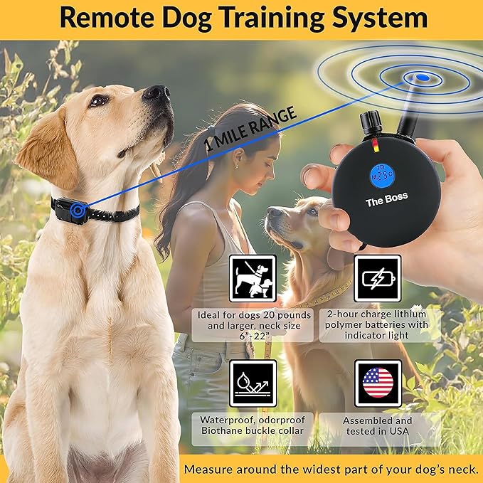 Educator E-Collar Humane Dog Training Collar with Remote, Features 100 Levels of Safe Stimulation, Tapping Sensation, Night Light, Waterproof, Rechargeable, 1 Mile 1 Dog, Black