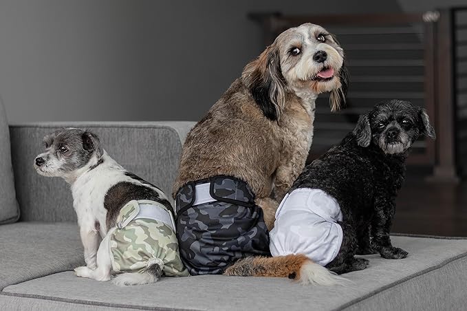 Pet Parents® Washable Dog Diapers (3pack) + Extendrs® of Durable Doggie Diapers, Premium Dog Diapers Female & Male (X-Small, Camo)