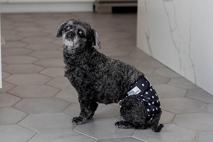 Pet Parents® Washable Dog Diapers (3pack) + Extendrs® of Durable Doggie Diapers, Premium Dog Diapers Female (X-Small, Luxe)
