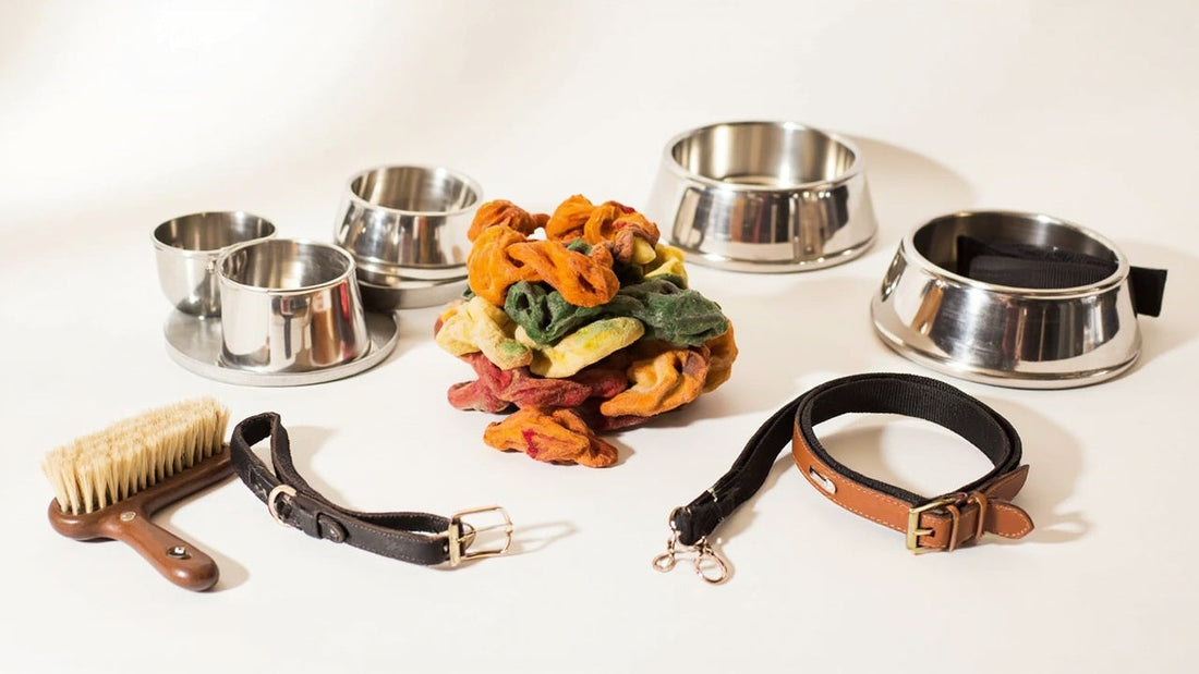 Holiday Stocking Stuffers: Small Gifts Pets Actually Use