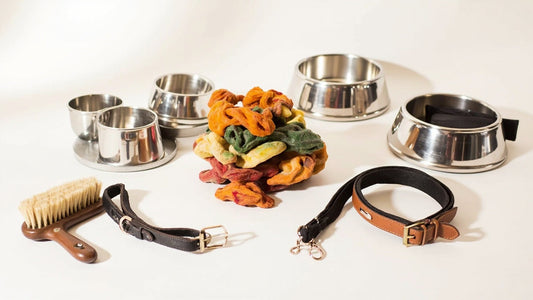 Holiday Stocking Stuffers: Small Gifts Pets Actually Use