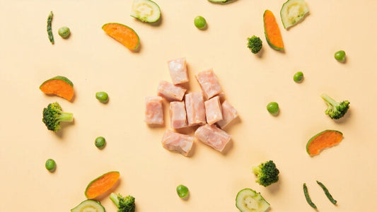 Thanksgiving Pet Safety Guide: Foods to Avoid + What’s Safe