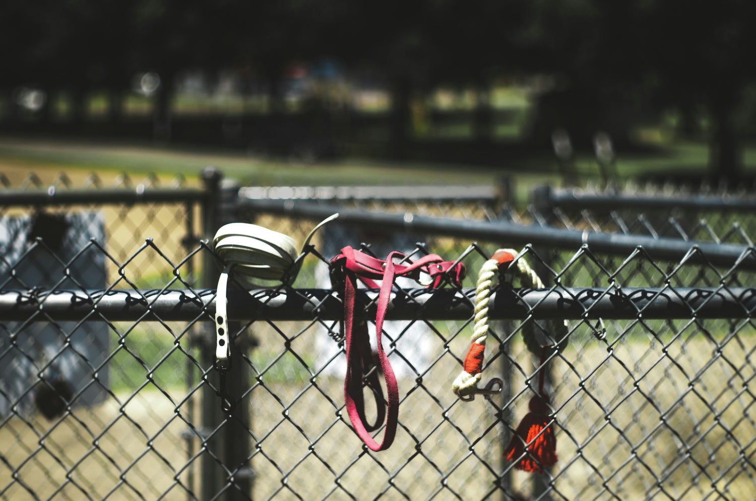 Leashes