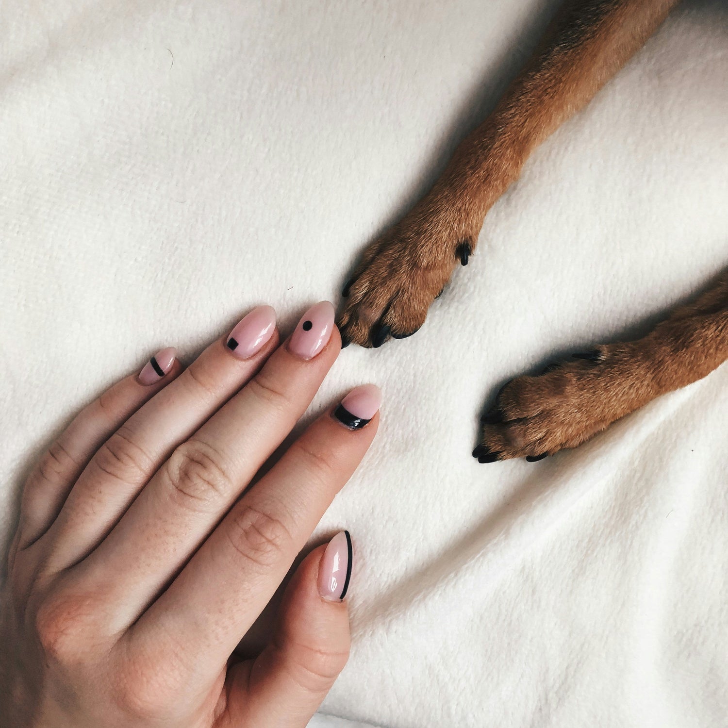 Nail Care & Claw Tools