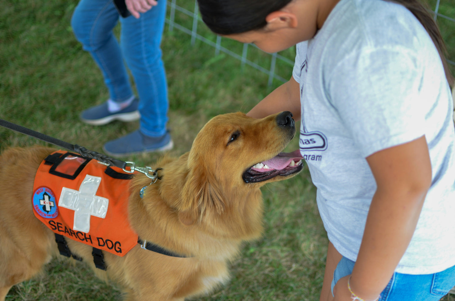 First Aid & Safety