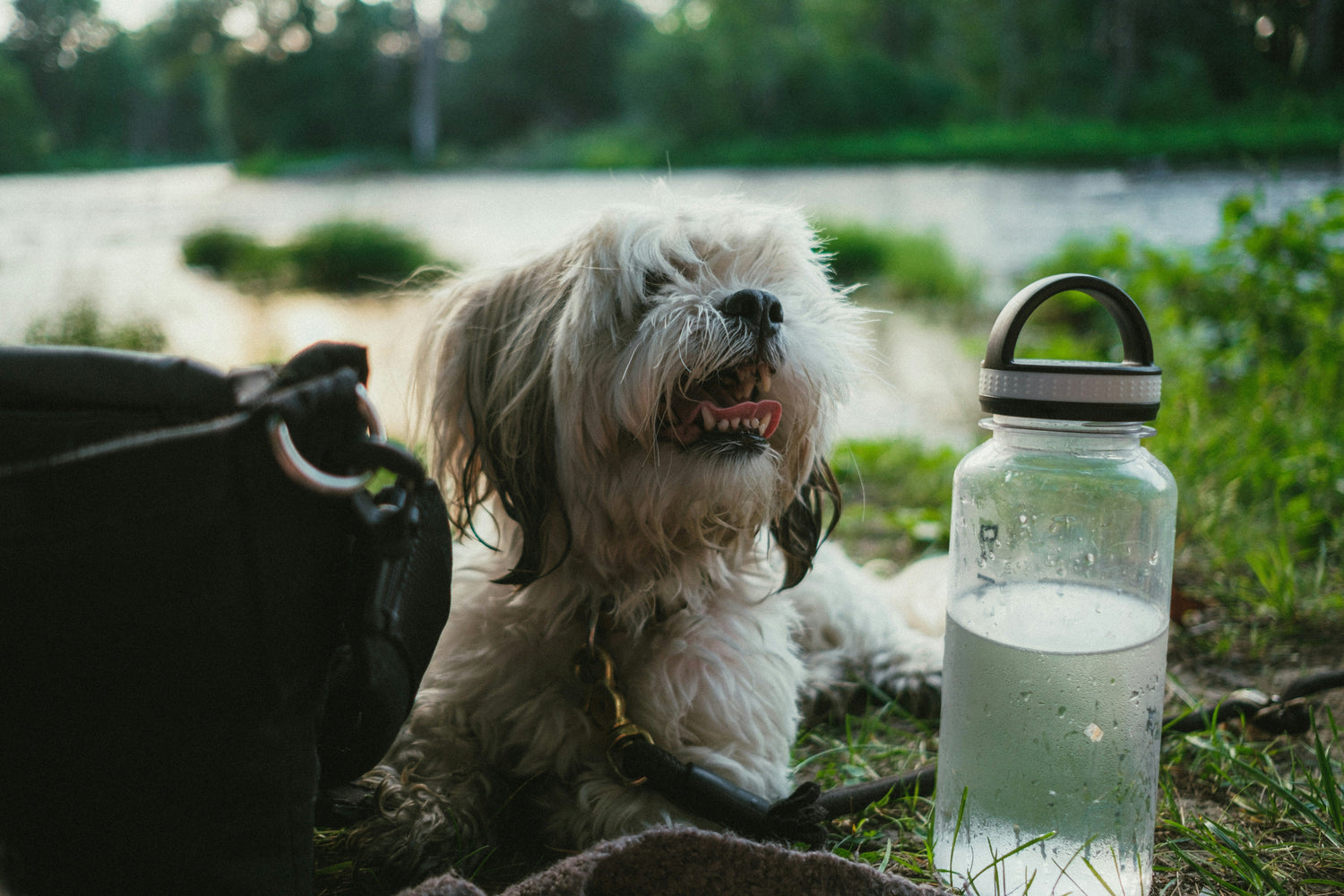 Bottle & Portable Feeders