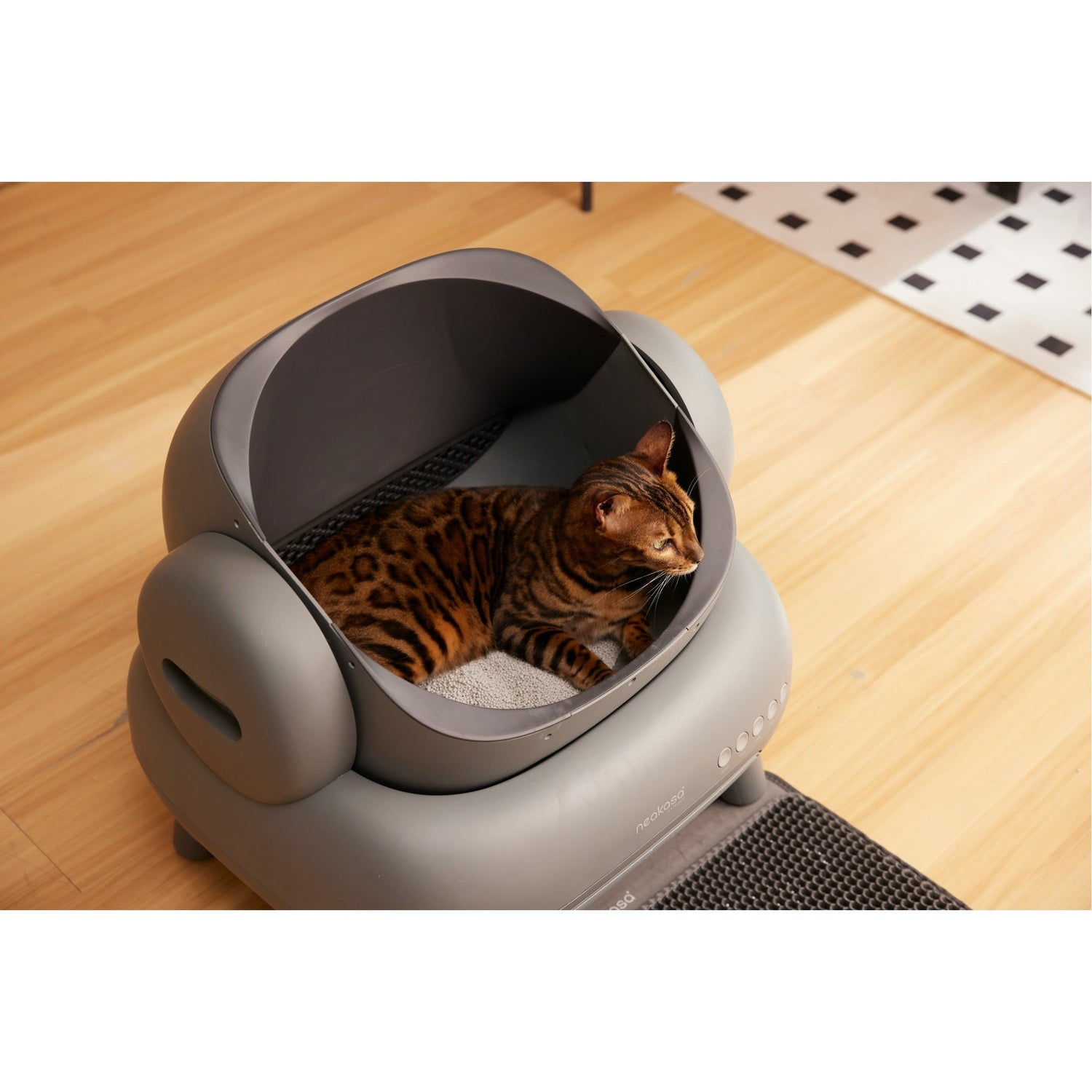 Litter Boxes & Accessories