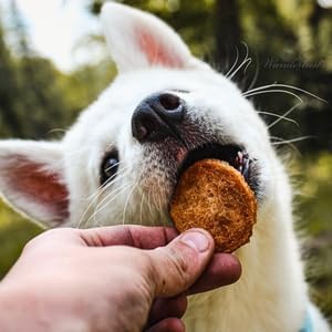 Farm To Pet - Dog Training Treats - Chicken Chips, Single Ingredient - 12 oz, Lean, All Natural, Healthy Dog Treats for Small, Medium, Large Breeds, & Puppies, Made in USA