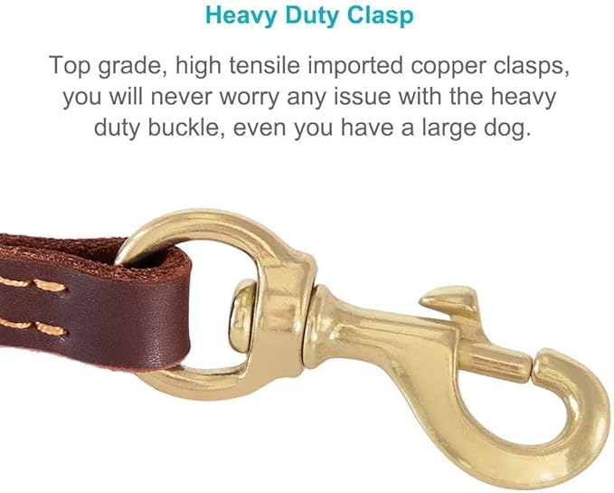 FAIRWIN Genuine 5Ft Leather Dog Leash Leads Rope for Large/Medium/Small Dogs Training/Walking (S - 5 ft x 3/8 inch, Reddish Brown)