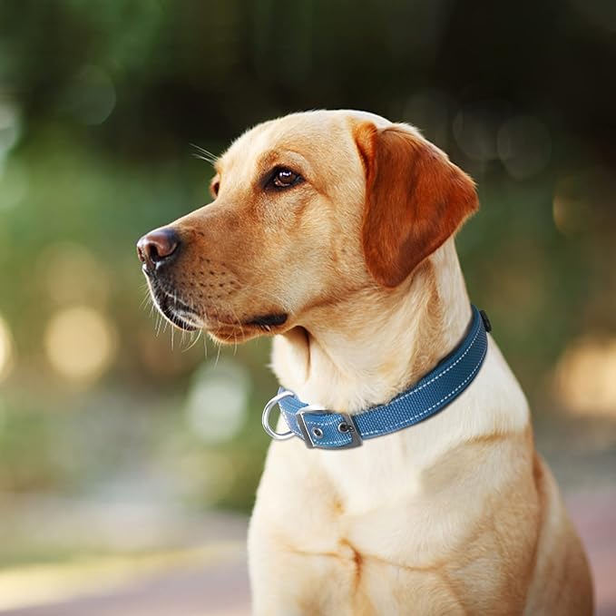 Fida Heavy Duty Dog Collar, Ultra Comfortable Soft Neoprene Padded, Adjustable Reflective Nylon Pet Collar with Durable Metal Belt Buckle for Large Breeds (L, Blue)