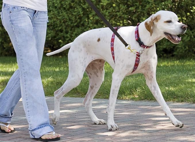 FAIRWIN Leather Dog Leash 6 Foot - Dog Training Leash Heavy Duty Dog Lead for Large Medium Small Dogs (M - 6 ft x 5/8 inch, Reddish Brown)