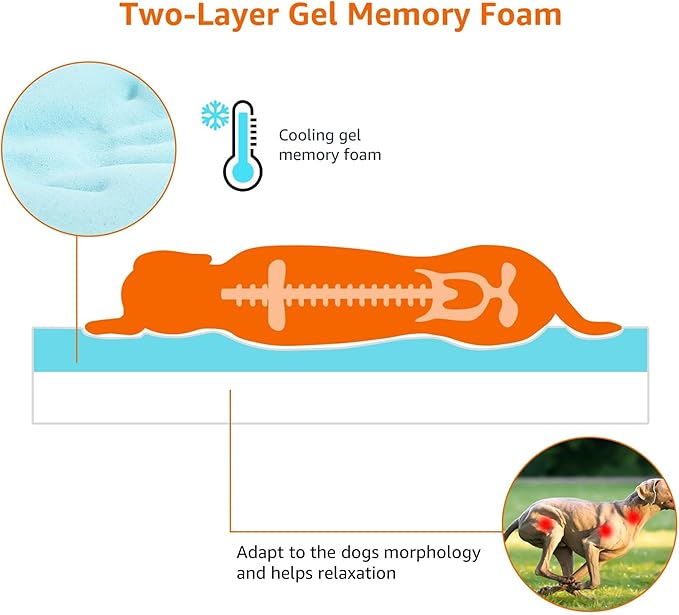 Amazon Basics Dog Bed with Cooling Gel Memory Foam, Pressure-Relief Support for Dogs up to 50lbs, Non-Slip Bottom, Machine Washable Cover, Large Sized (35" x 22"), Grey