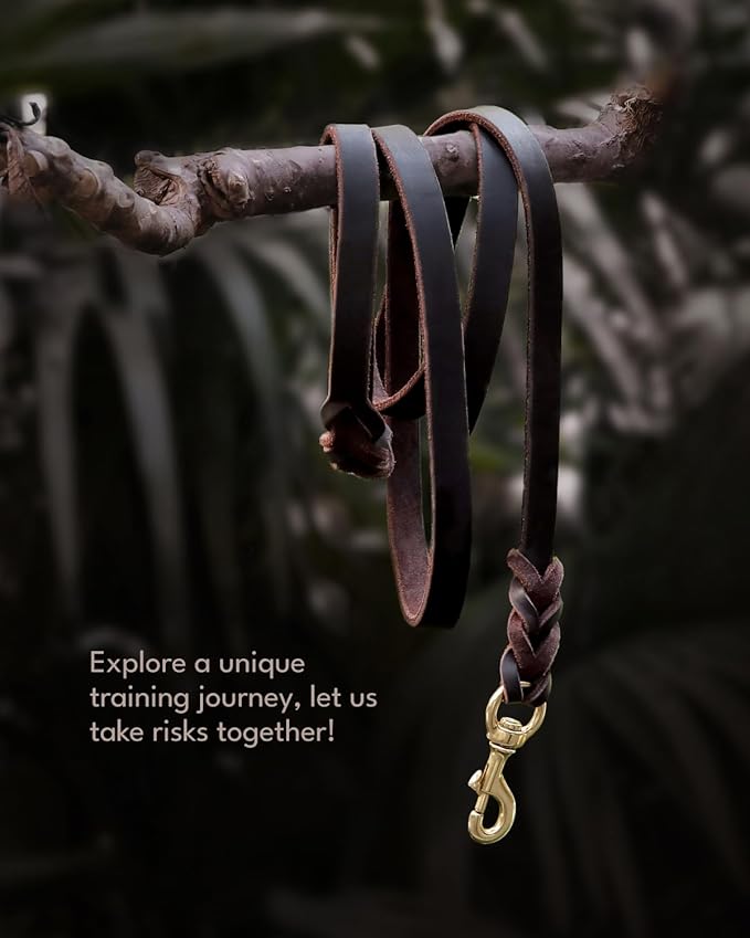 FAIRWIN Braided Leather Dog Training Leash 6 Foot - Military Grade Heavy Duty Dog Leash for Large Medium Small Dogs (Brown, M:5/8" x 6ft)