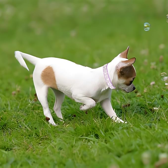 Rhinestone Dog Collar for Small Dogs, Bling Diamond Fancy Crystal Glitter Pretty Jewel Pet Puppy Collars for XXS XS Small Medium Large Breed Girl Dogs Female Cats Kitten, Blue XL