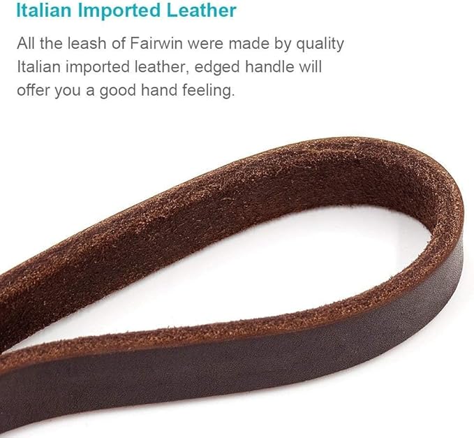FAIRWIN Genuine 5Ft Leather Dog Leash Leads Rope for Large/Medium/Small Dogs Training/Walking (S - 5 ft x 3/8 inch, Reddish Brown)