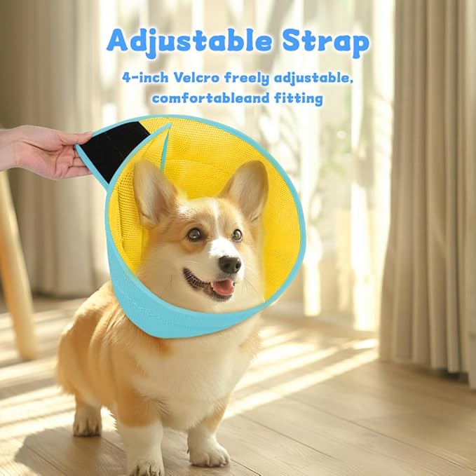 Soft Dog Cone Recovery Collars & Cones After Surgery for Medium Large Dogs, Comfy Ecollars to Stop Licking, Adjustable, Dog Ecollars for Recovery Plastic: Superior Support Fabric: Soft Comfort, XL