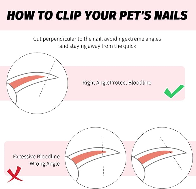 2 PCS Bearded Dragon Nail Clippers, Cat Nail Trimmer, Stainless Steel Cat Claw Clippers, with (White + Pink) Files * 2, Suitable for Reptiles, Novice Pet Families (Orange + Rose Red)