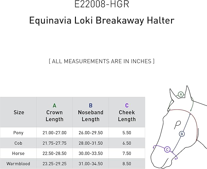 Equinavia Loki Adjustable Breakaway Horse Halter - Hunter Green - Horse