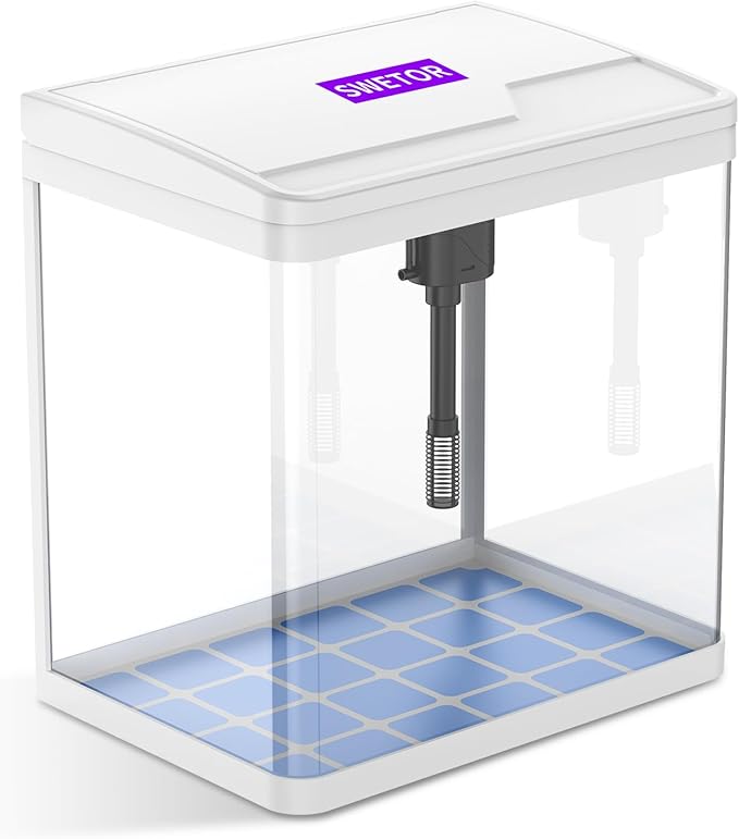 2 Gallon Glass Betta Fish Tank，Small Fish Tank with Filter and Light,Self-Cleaning Fish Tank.