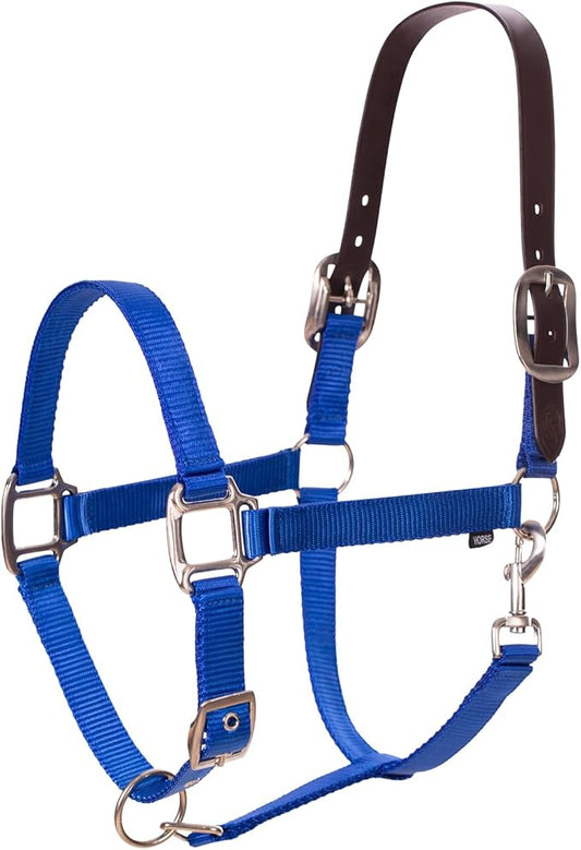 Equinavia Loki Adjustable Breakaway Horse Halter - Royal Blue - Horse