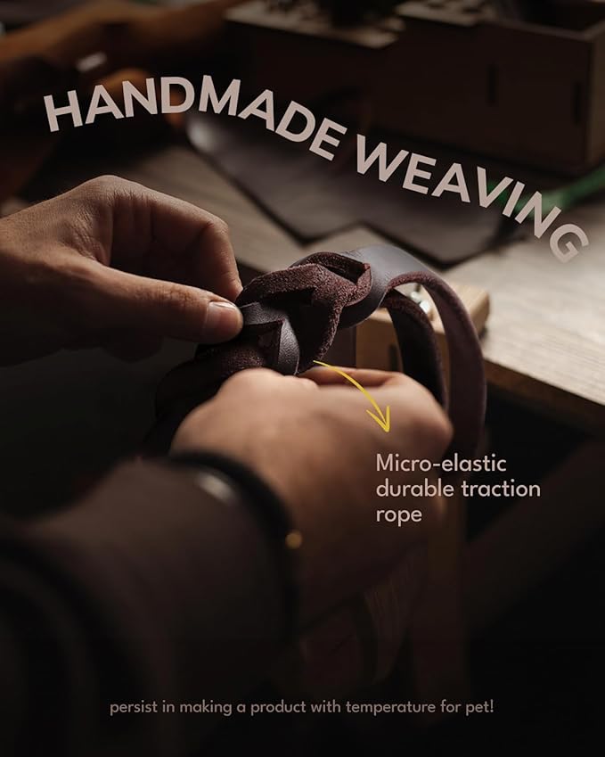 FAIRWIN Braided Leather Dog Training Leash 6 Foot - Dog Leather Leashes Heavy Duty for Large Medium Dogs (Brown, L:3/4" x 6ft)