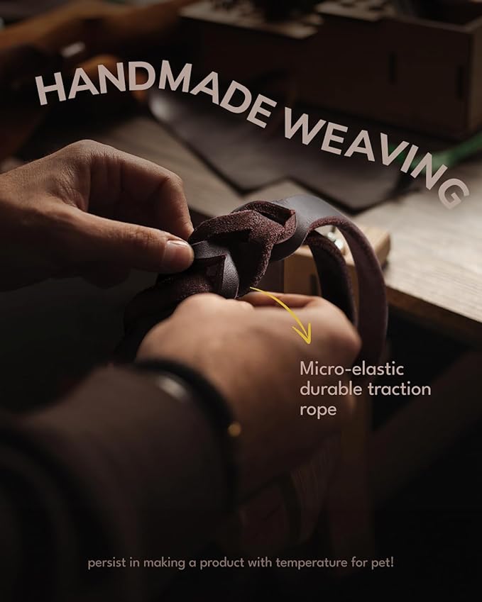 FAIRWIN Braided Leather Dog Leash 6 Foot - Dog Training Leash for Large Medium Small Dogs (Brown, S:1/2" x 6ft)