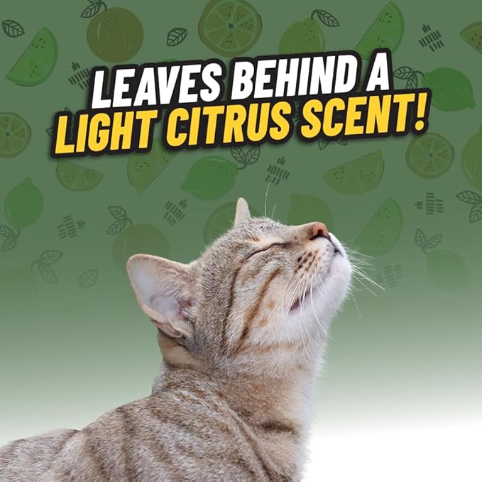 Ghosted Pet Odor Eliminator, Refresh Your Home, Car, Office, & More, from Chemical Guys (32 Fl Oz) - Fresh Citrus Scent - PCS10232