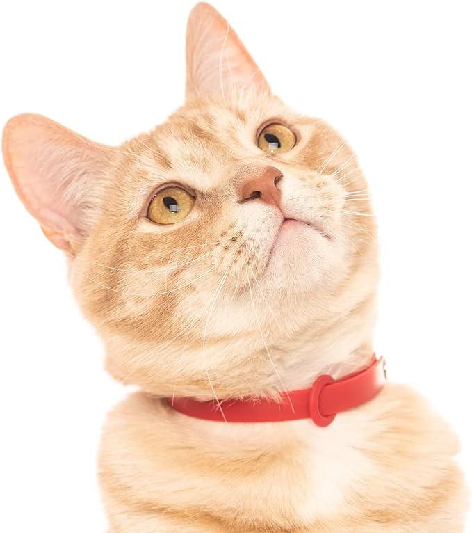 5 Pack Breakaway Cat Collar - Soft, Comfortable, and Lightweight Safety Buckle Collar with ID Tag Ring for Outdoor Cats and Kittens by Nuvuq (6 ⅞" to 10 ¼", Red, Orange, Pink, Blue and Black)