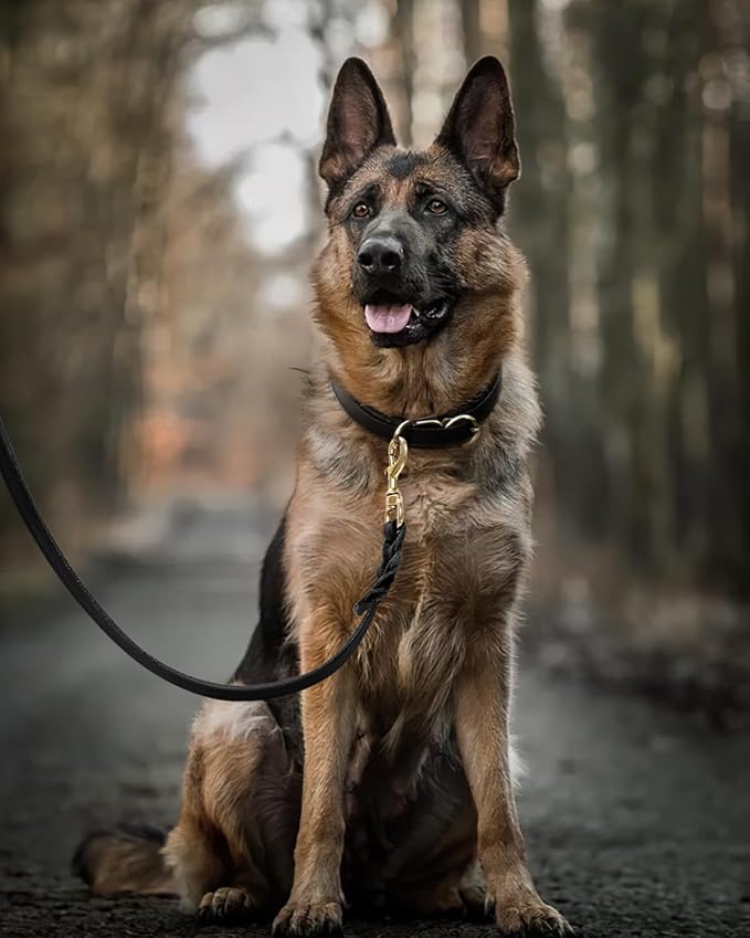 FAIRWIN Leather Dog Leash 6 Foot - Braided Military Grade Heavy Duty Dog Leash for Large Medium Small Dogs Training and Walking (Black, XL:1" x 6ft)