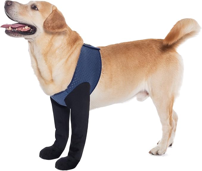 COODEO Dog Socks to Prevent Licking Paws, Dog Healing Bootss & Paw Protectors with Non-Slip Bottoms to Protect Wounds, Waterproof Sleeve Dog Shoes for Licking (Blue, M)