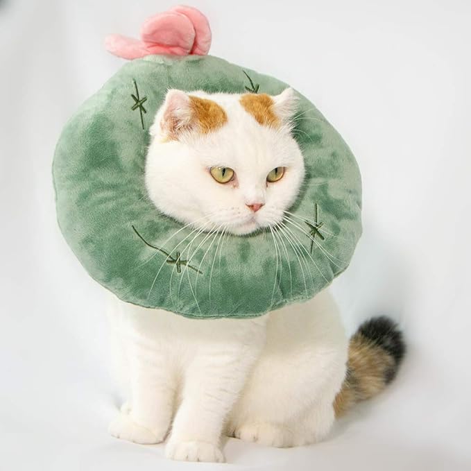 Adjustable Cat Recovery Collar Soft,Cute Pet E-Collar Neck Cone After Surgery Wound Healing Protective Cone Fit for Kitties, Small Dogs(ELC05-cactus-s)
