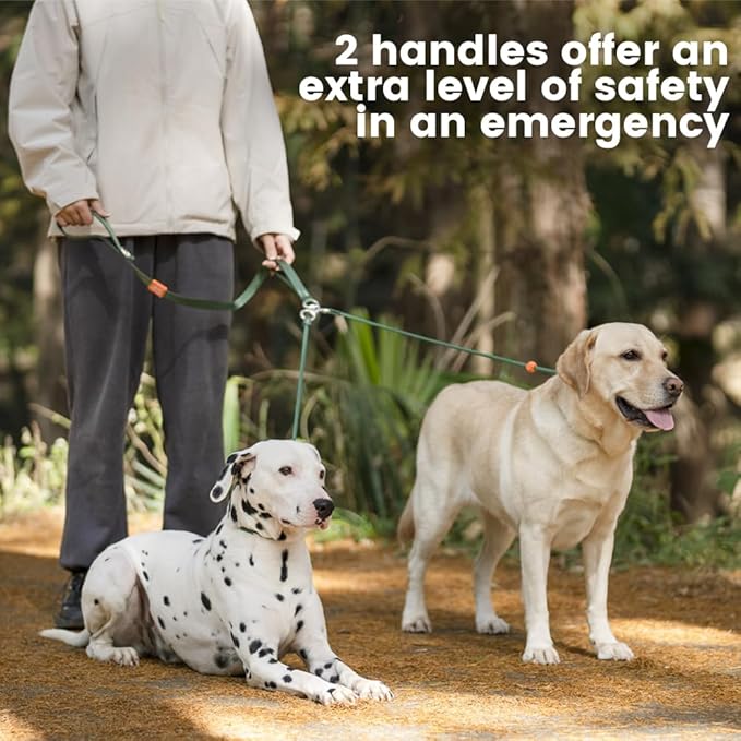 Howgo Double Slip Leash Slip Lead with Two Handles| Dual Dog Slip Lead for 2 Dogs,360° Swivel No Tangle | Dog Training Collar | Double Clip Leash Coupler and Splitter (Green, 6FT)