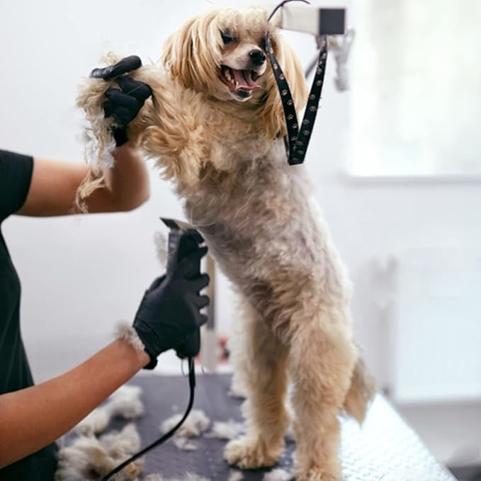 7Pack 10 Blades Dog Grooming Replacement Blades Compatible with Andis Pet Clipper/Oster A5/Wahl KM Series Dog Clipper,Ceramic Blade & Stainless Steel Blade (#10+30+40+3FC+4FC+5FC+7FC)