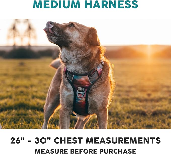 Embark Adventure Dog Harness, Reflective Trim No Pull Harness for Medium Sized Dog - Military Grade Nylon, Front Clip with Gel Lined Handle. Soft & Padded Puppy