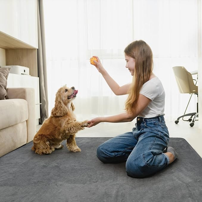 LOOBANI Washable Pee Pad for Dogs, 2 Packs Non-Slip Puppy Training Pads, Fast Absorbent Pet Whelping Pads, Puppy Playpen Mat for Incontinence, Housebreak, Crate, 41x41in, Gray