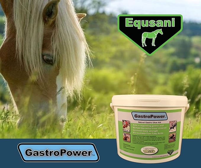 GastroPower Digestible Free Fatty Acid Feed Concentrate for Horses