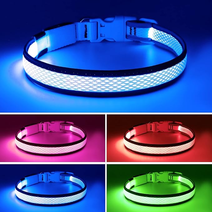Flashseen LED Dog Collar, Light Up Dog Collar USB Rechargeable, Brightest Dog Lights for Night Walking, Adjustable Dog Collar Light for Dog Safety(Medium, Royal Blue)
