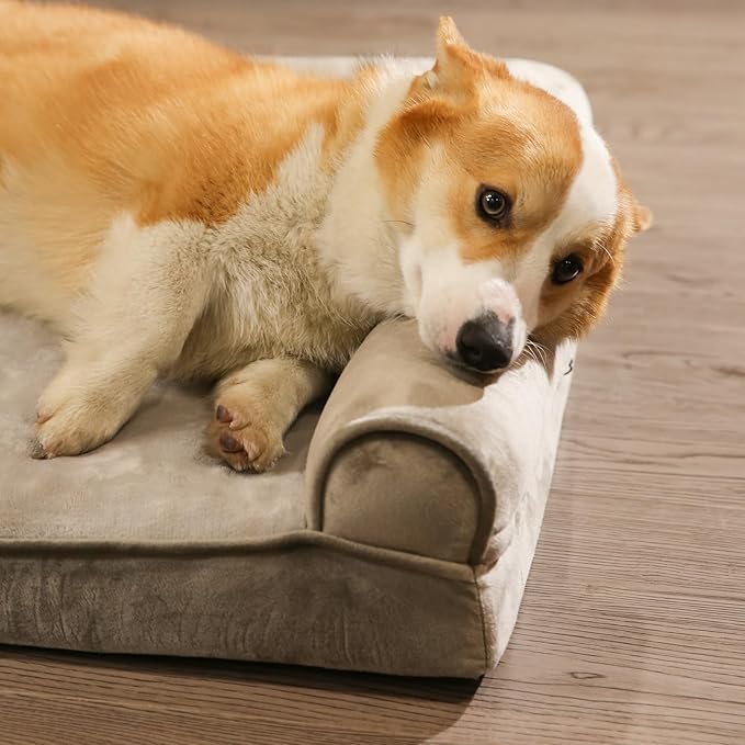 Amazon Basics Dog Bed with Cooling Gel Memory Foam, Pressure-Relief Support for Dogs up to 30lbs, Non-Slip Bottom, Machine Washable Cover, Medium Sized (30" x 20"), Brown