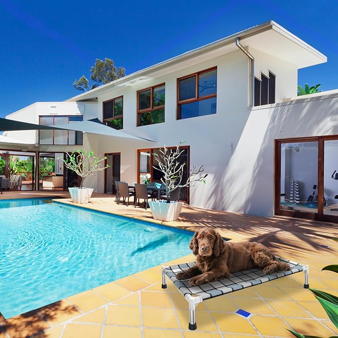 Elevated Outdoor Raised Dog Bed Outdoor Dogs Bed Lifted Pet Bed Dog Cot for Medium Pet Taste Life, Start with A Pet Bed 34'' x 20'' x 6.5''