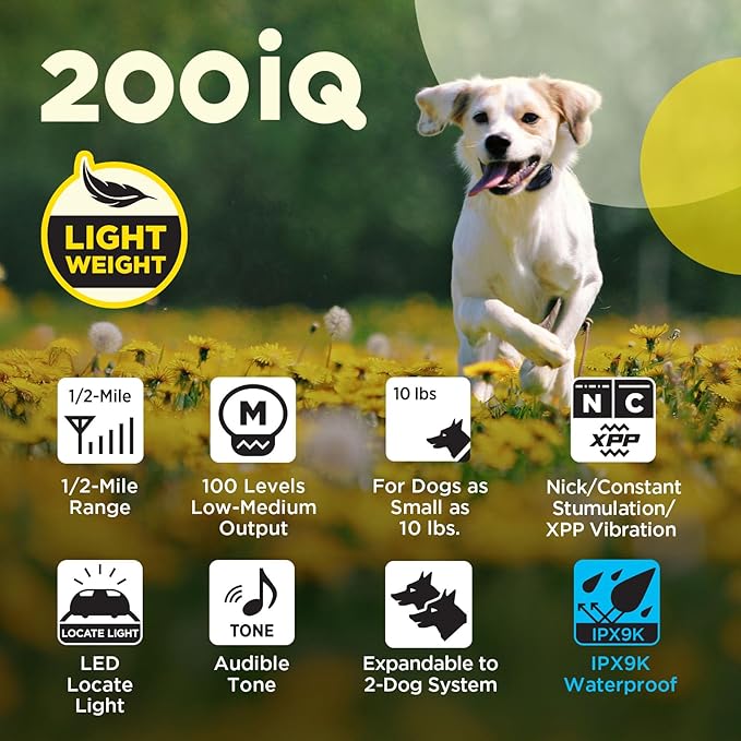 Dogtra 200iQ Remote Training E Collar – 100 Levels, Tone, Vibration, 1/2 Mile Range – Compact, Waterproof, One-Handed Control for Dogs 10 lbs+ – Lightweight Design for Daily Training – Lavender