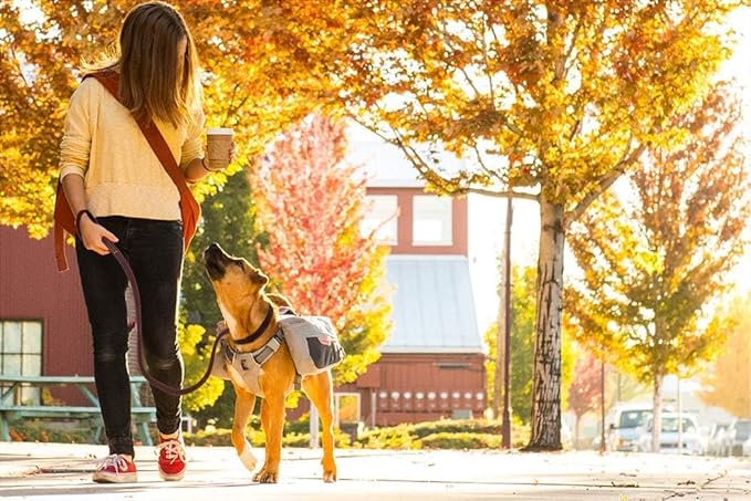 FAIRWIN Genuine 5Ft Leather Dog Leash Leads Rope for Large/Medium/Small Dogs Training/Walking (S - 5 ft x 3/8 inch, Reddish Brown)