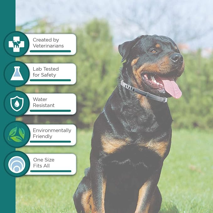 Flea and Tick Collar for Small Dog, Made with Natural Plant Based Essential Oil, Safe and Waterproof, Free Comb and Prevention Treatment Drop, 2x6 Month, 13.8 in (2 Packs)