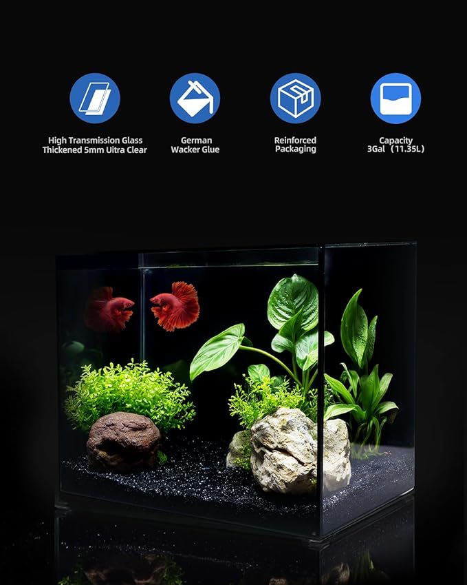 3 Gallon Clear Glass Fish Tank, Small Fish Tank Aquarium for Betta, Goldfish, Snail,Shrimp and Aquatic Planting