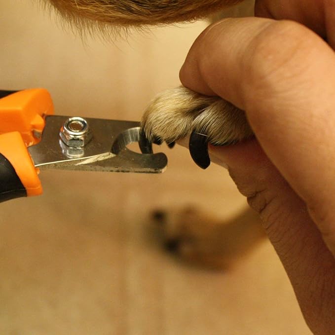 GoPets Pet Nail Clipper Bundle for Dogs and Cats with Large and Small Nail Trimmer with Free Nail File Grinder with Quick Guard and Angled Blades for Safety 2 Nail Cutter Bundle