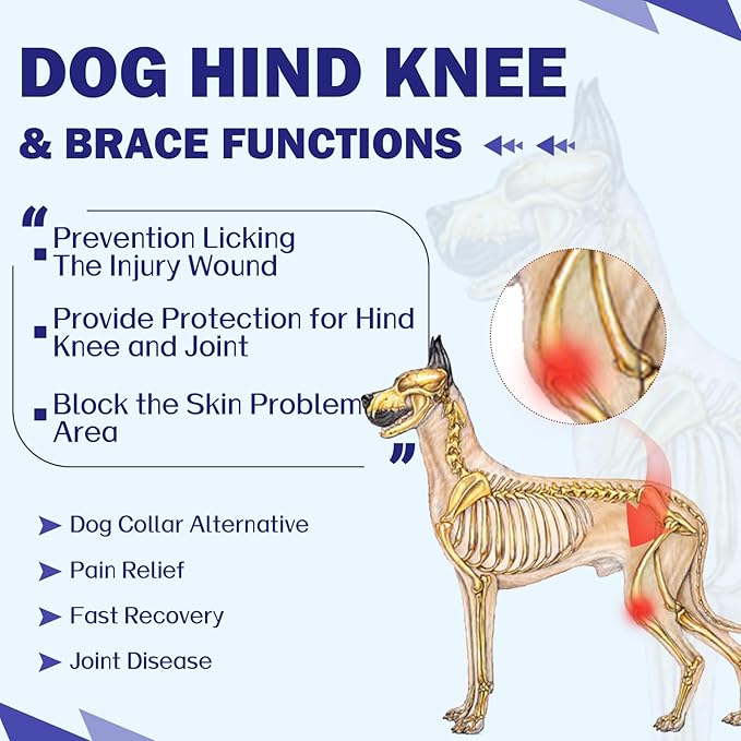 ROZKITCH Dog Surgery Leg Sleeve Rear Legs, Male Female Pet Prevent Licking Wound Elbow Knee Protector, Dog Recovery Suit Cone Collar Alternative Pants Shirt for Wound Heal Wrap Blue 2XL