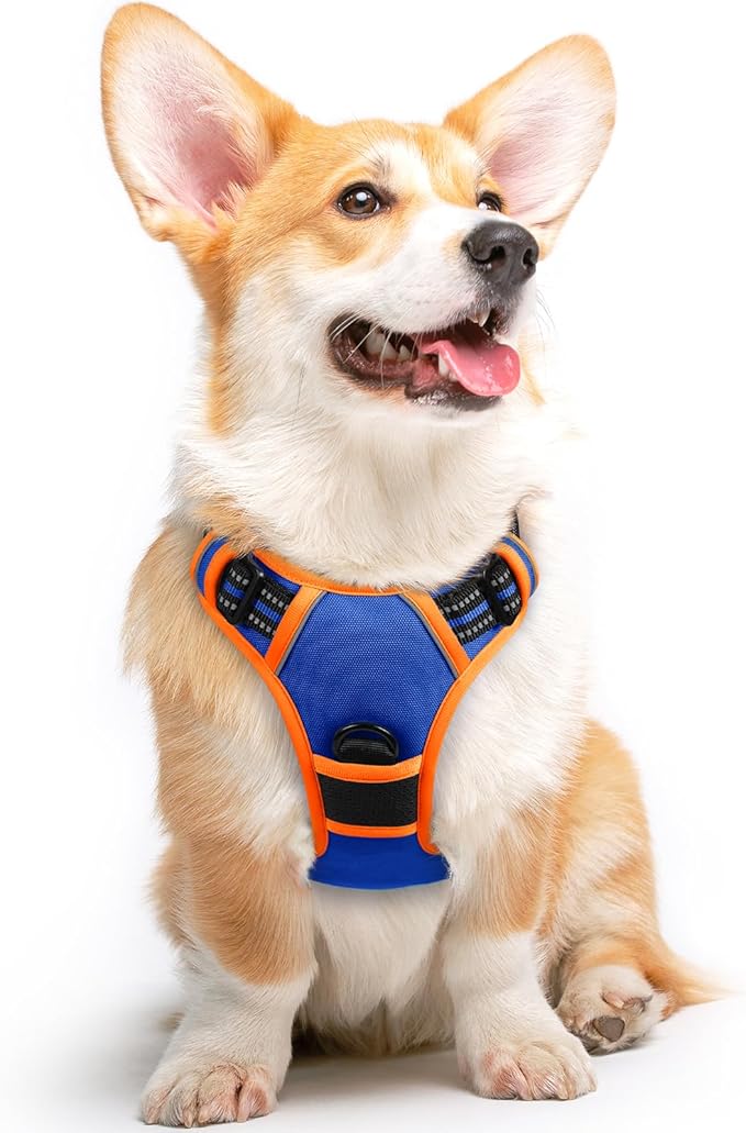Eagloo Dog Harness for Large Dogs, No Pull Service Vest with Reflective Strips and Control Handle, Adjustable and Comfortable for Walking, No Choke Harness with 2 Metal Rings, Blue & Orange, M